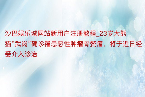 沙巴娱乐城网站新用户注册教程_23岁大熊猫“武岗”确诊罹患恶性肿瘤骨赘瘤，将于近日经受介入诊治