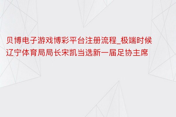 贝博电子游戏博彩平台注册流程_极端时候 辽宁体育局局长宋凯当选新一届足协主席