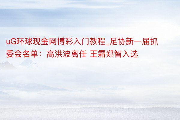 uG环球现金网博彩入门教程_足协新一届抓委会名单：高洪波离任 王霜郑智入选