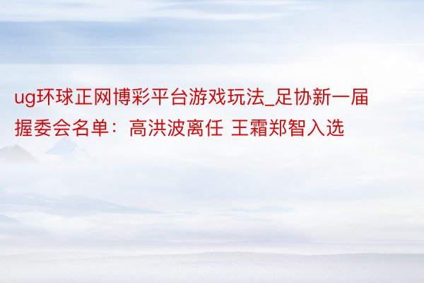 ug环球正网博彩平台游戏玩法_足协新一届握委会名单：高洪波离任 王霜郑智入选
