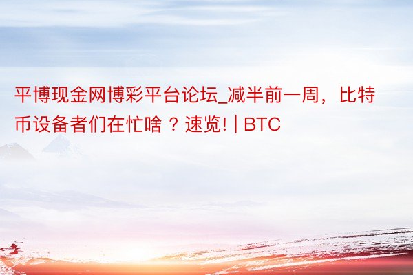 平博现金网博彩平台论坛_减半前一周，比特币设备者们在忙啥 ? 速览! | BTC